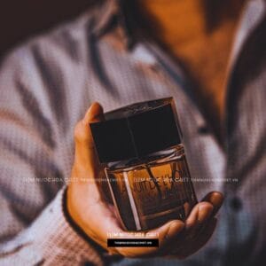 Ysl La Nuit