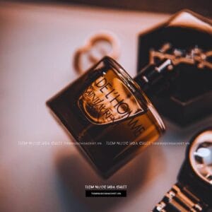 Yves Saint Laurent La Nuit De L'Homme EDT